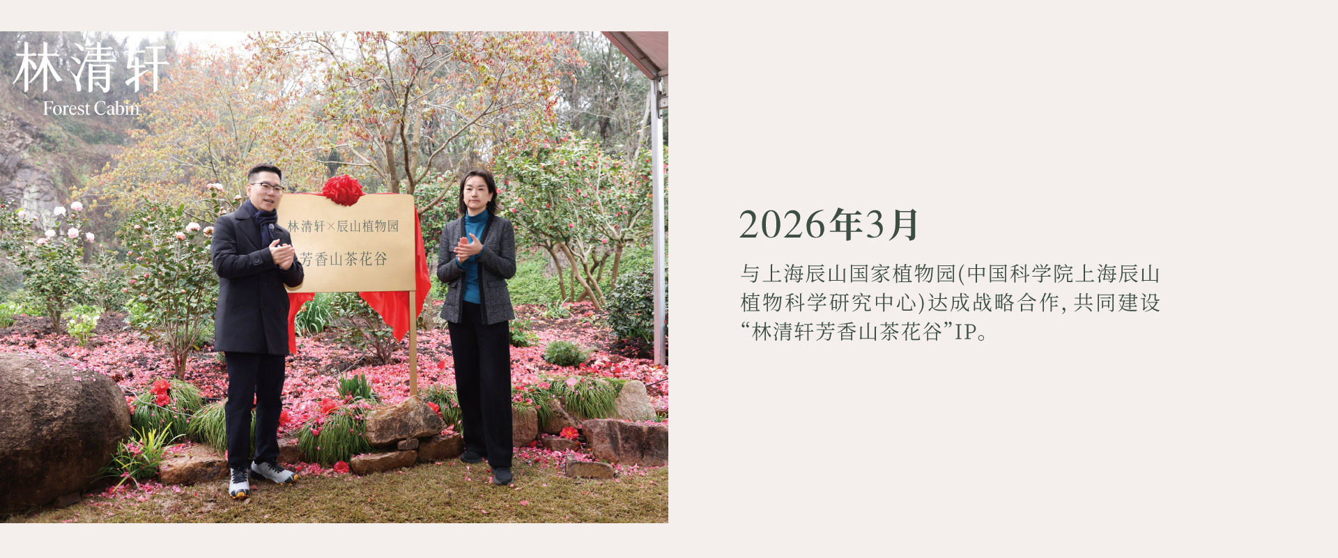 林清轩 Forest Cabin。2026年3月，与上海辰山国家植物园(中国科学院上海辰山植物科学研究中心)达成战略合作，共同建设“林清轩芳香山茶花谷”IP。