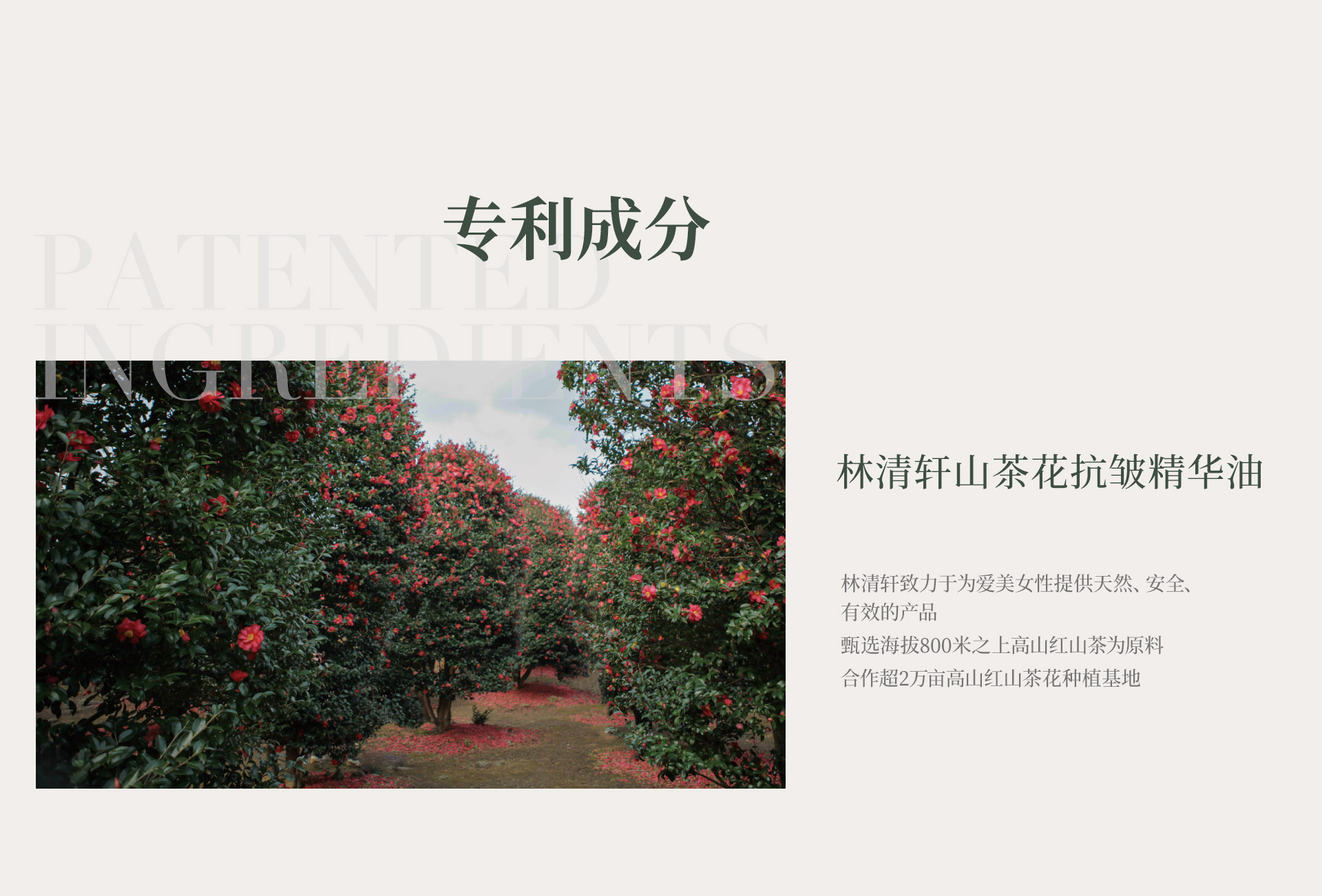 林清轩山茶花抗皱精华油，林清轩致力于为爱美女性提供天然、安全、有效的产品，甄选海拔800米之上高山红山茶为原料，合作超2万亩高山红山茶花种植基地。